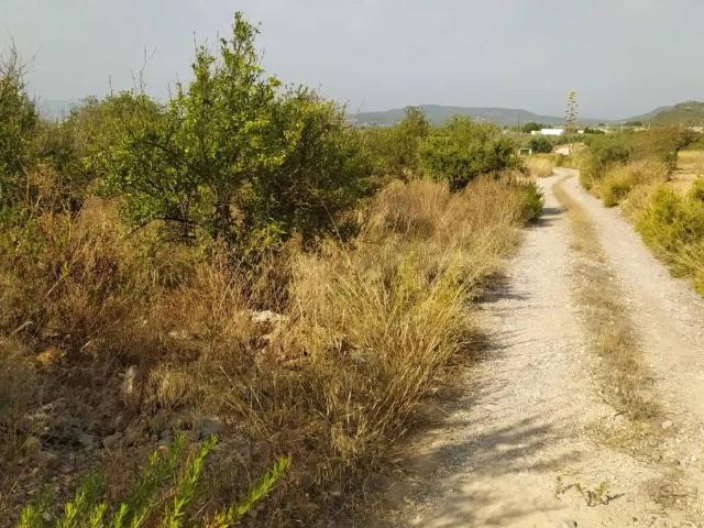 Terreno en venta en el Camp de Túria, Valencia