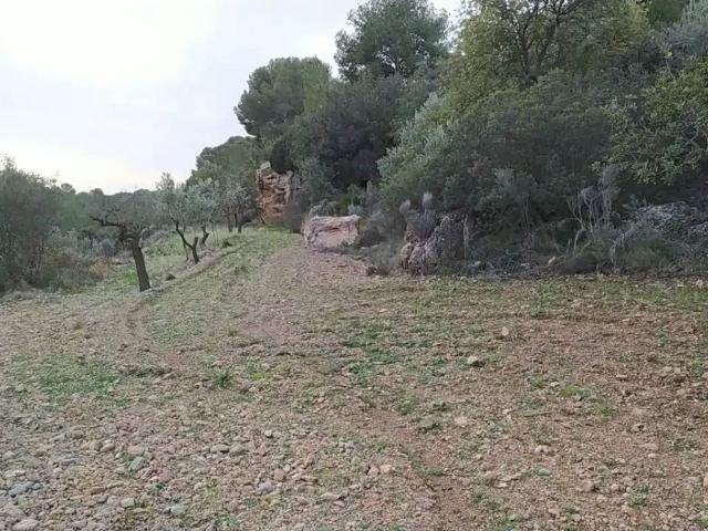 Terreno en venta en el Camp de Túria, Valencia
