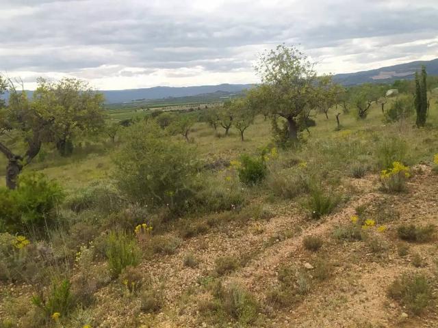 Terreno en venta en el Camp de Túria, Valencia