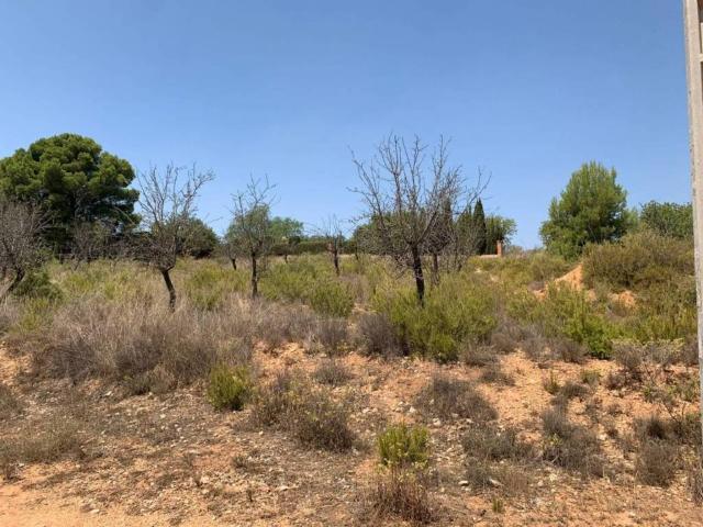 Terreno en venta en el Camp de Túria, Valencia