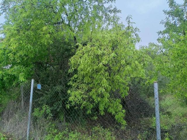 Terreno en venta en el Camp de Túria, Valencia