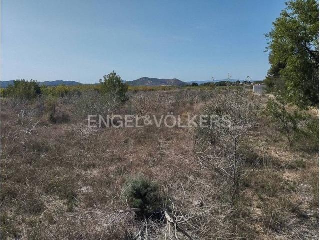 Terreno en venta en el Camp de Túria, Valencia