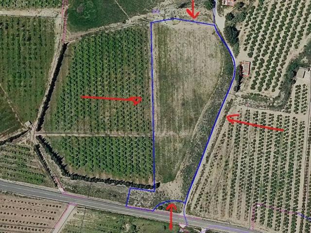 Terreno en venta en la Ribera Alta, Valencia