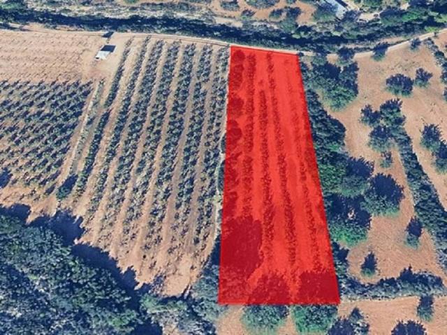 Terreno en venta en la Ribera Alta, Valencia