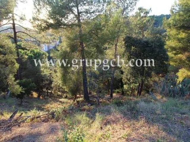 Terreno en venta en Canyelles, la Selva