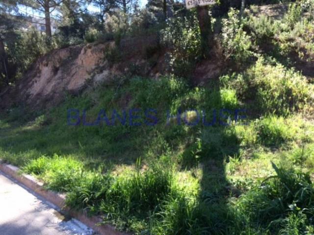 Terreno en venta en la Selva, Catalunya