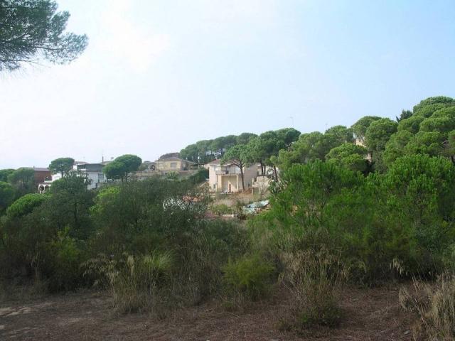 Terreno en venta en la Selva, Catalunya