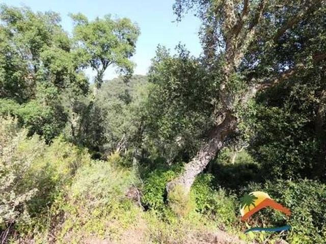 Terreno en venta en la Selva, Catalunya