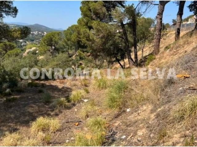 Terreno en venta en la Selva, Catalunya