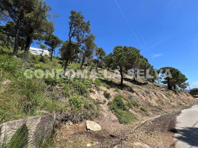 Terreno en venta en la Selva, Catalunya