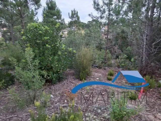 Terreno en venta en la Selva, Catalunya