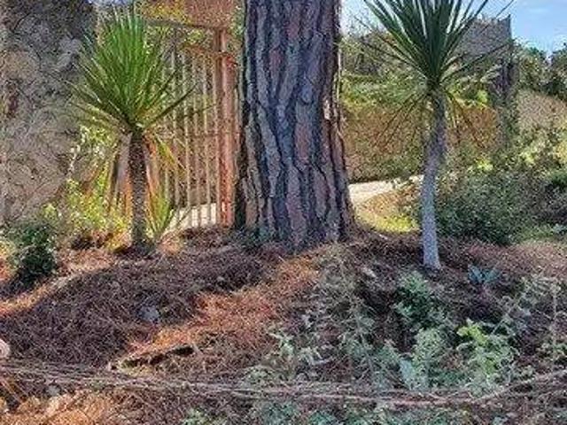 Terreno en venta en la Selva, Catalunya