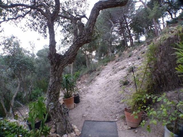 Terreno en venta en la Selva, Catalunya