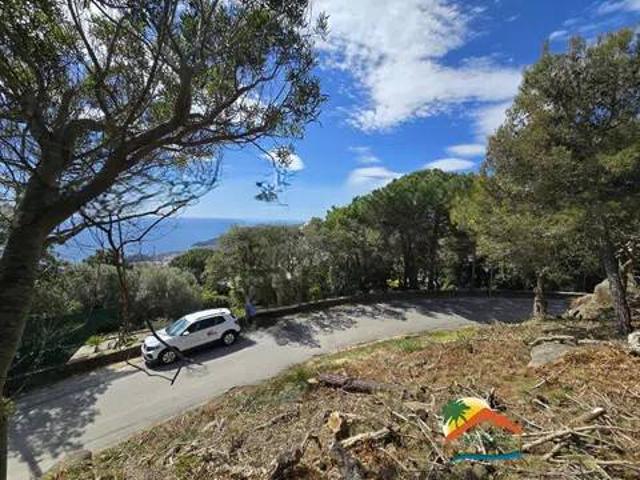 Terreno en venta en la Selva, Catalunya