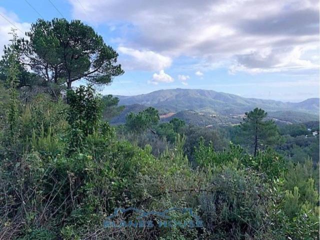 Terreno en venta en la Selva, Catalunya