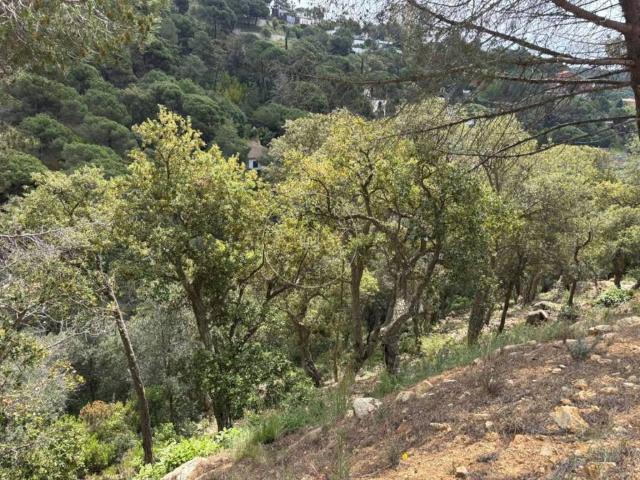 Terreno en venta en la Selva, Catalunya