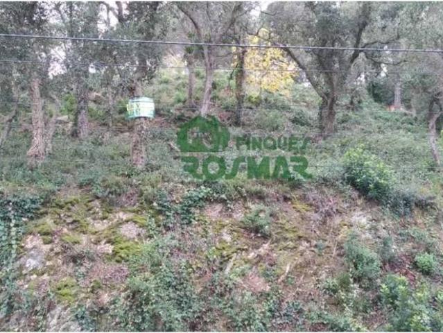 Terreno en venta en la Selva, Catalunya