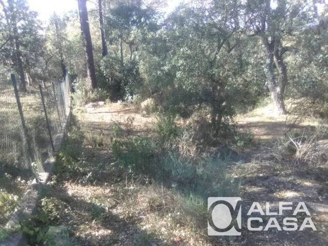 Terreno en venta en la Selva, Catalunya