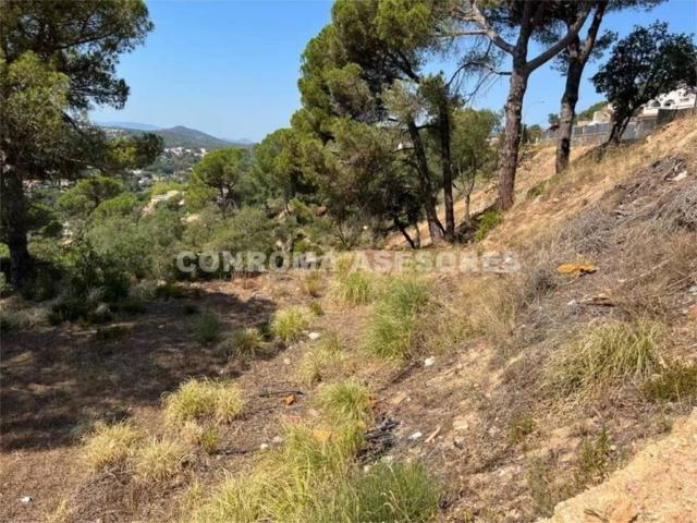 Terreno en venta en la Selva, Catalunya