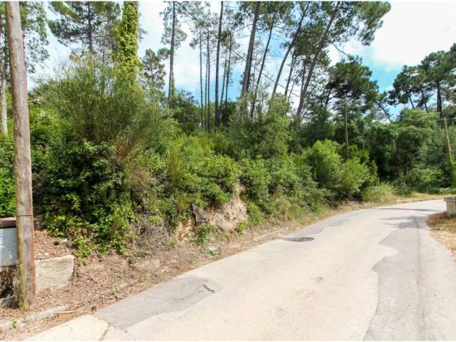 Terreno en venta en la Selva, Catalunya