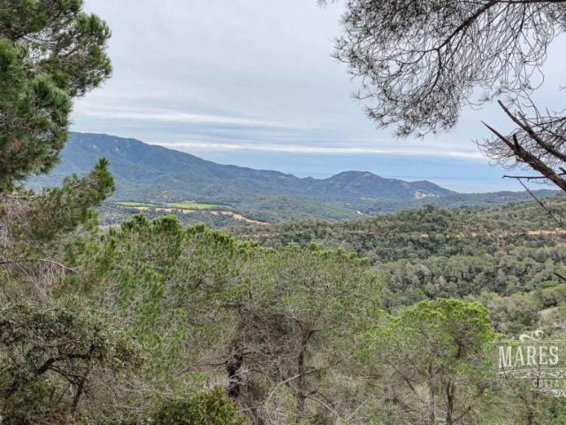 Terreno en venta en la Selva, Catalunya