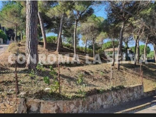 Terreno en venta en la Selva, Catalunya