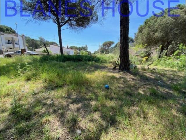 Terreno en venta en la Selva, Catalunya