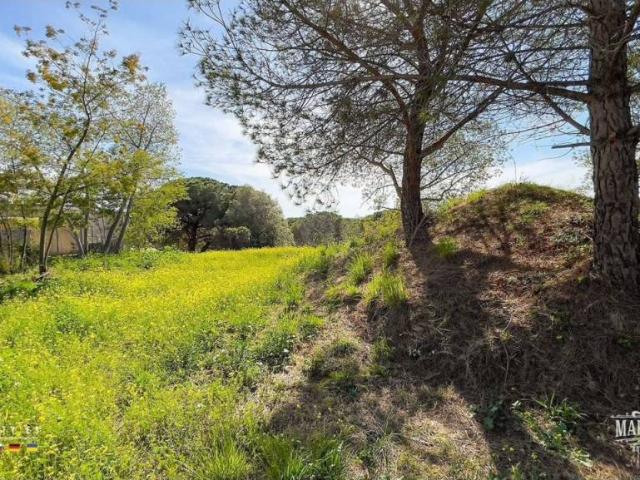 Terreno en venta en la Selva, Catalunya
