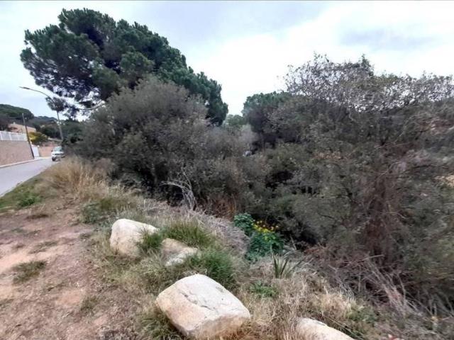 Terreno en venta en la Selva, Catalunya