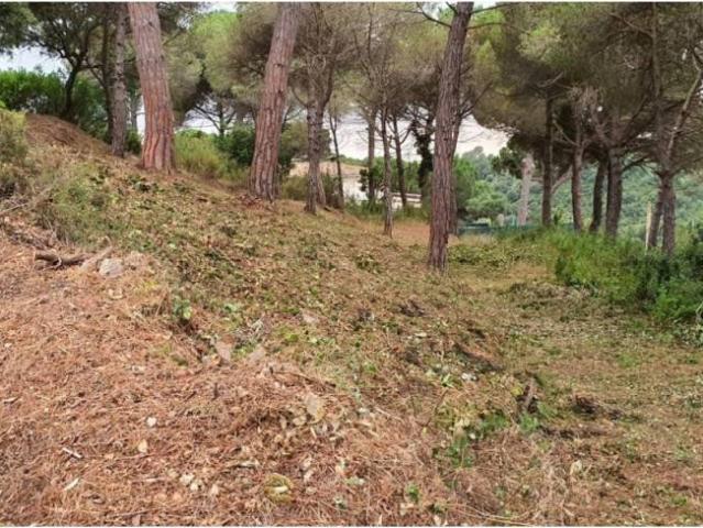 Terreno en venta en la Selva, Catalunya