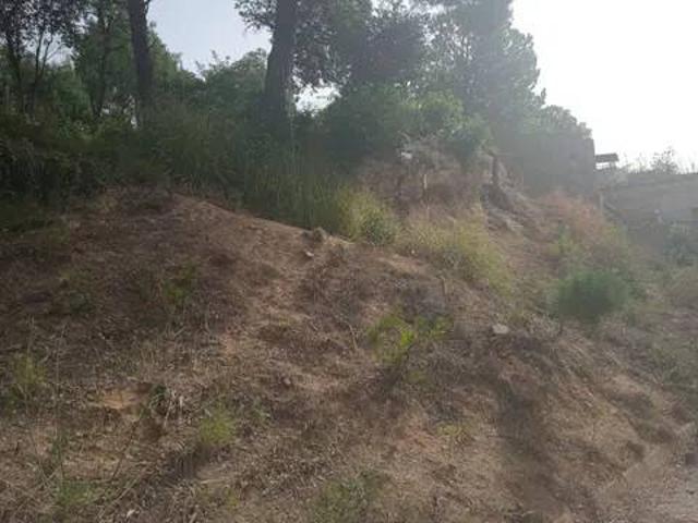 Terreno en venta en la Selva, Catalunya
