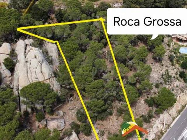 Terreno en venta en la Selva, Catalunya