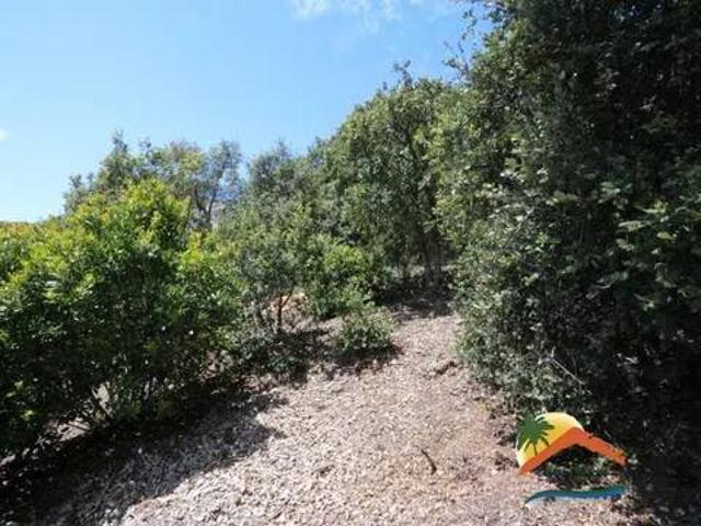 Terreno en venta en la Selva, Catalunya