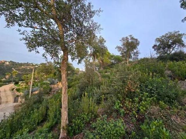 Terreno en venta en la Selva, Catalunya