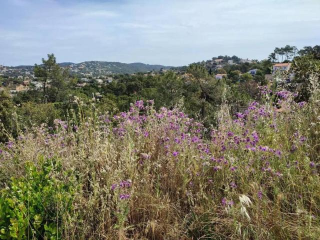 Terreno en venta en la Selva, Catalunya