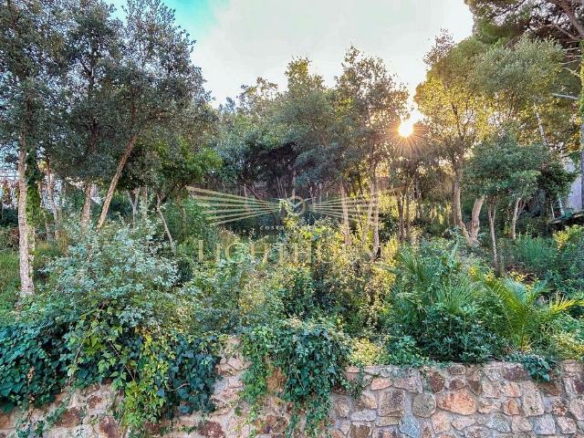 Terreno en venta en la Selva, Catalunya