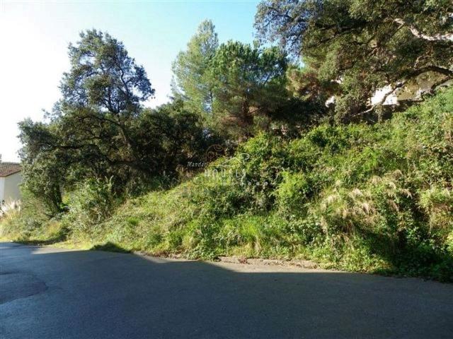 Terreno en venta en la Selva, Catalunya
