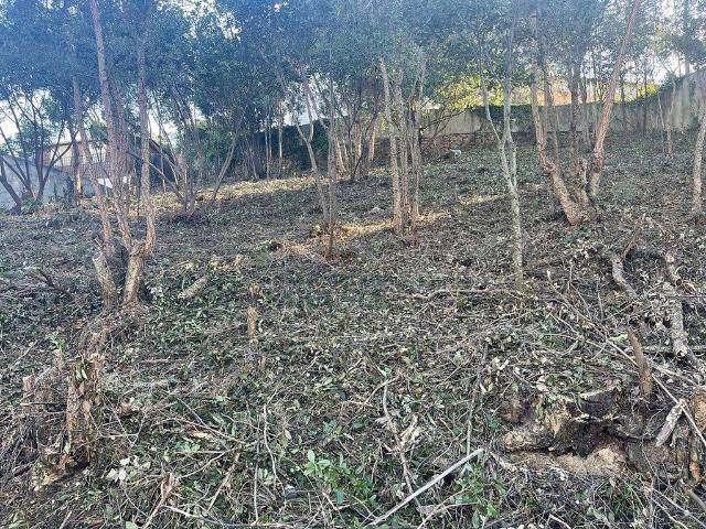 Terreno en venta en la Selva, Catalunya