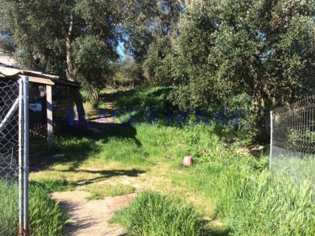 Terreno en venta en la Selva, Catalunya