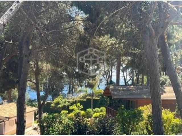 Local Comercial en venta en la Montgoda, la Selva