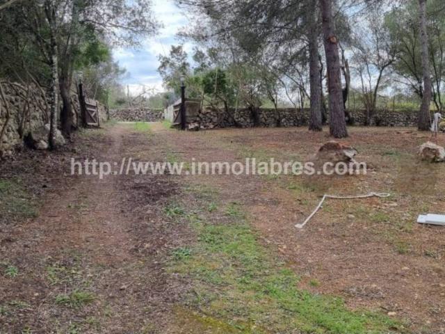 Terreno en venta en Pla de Mallorca, Baleares