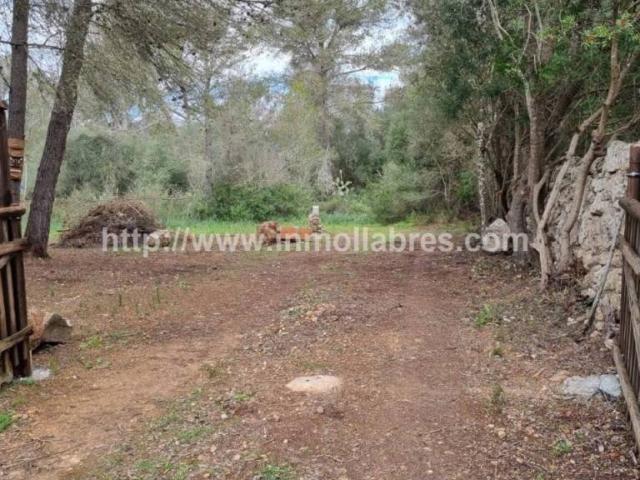 Terreno en venta en Pla de Mallorca, Baleares