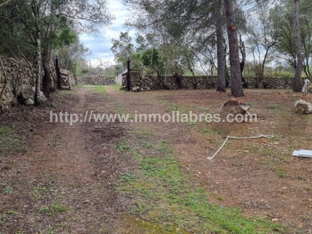 Terreno en venta en Lloret De Vistalegre