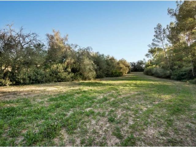Terreno en venta en Pla de Mallorca, Baleares