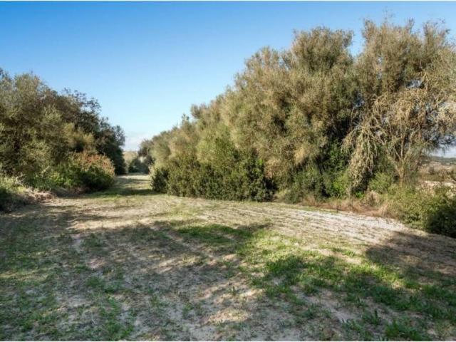 Terreno en venta en Pla de Mallorca, Baleares