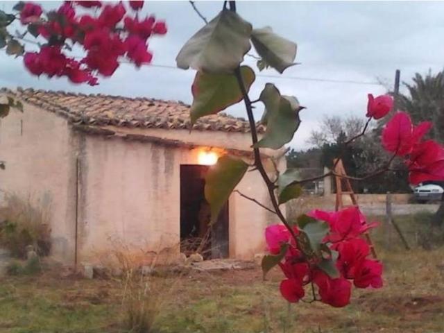 Terreno en venta en Raiguer, Baleares