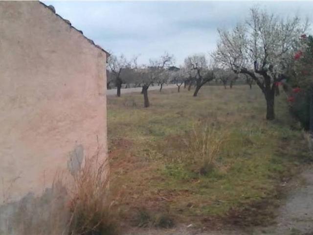 Terreno en venta en Raiguer, Baleares