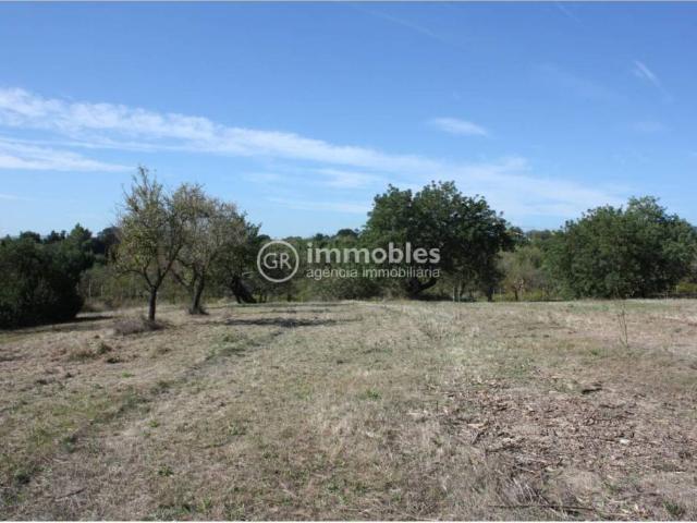 Terreno en venta en Raiguer, Baleares