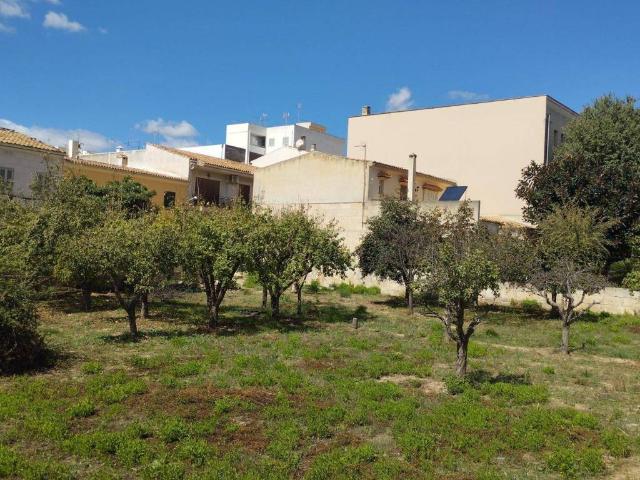 Terreno en venta en Lloseta