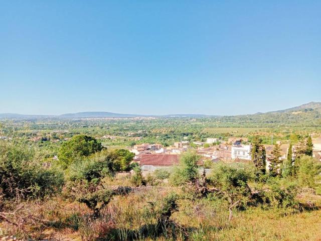 Terreno en venta en Lloseta